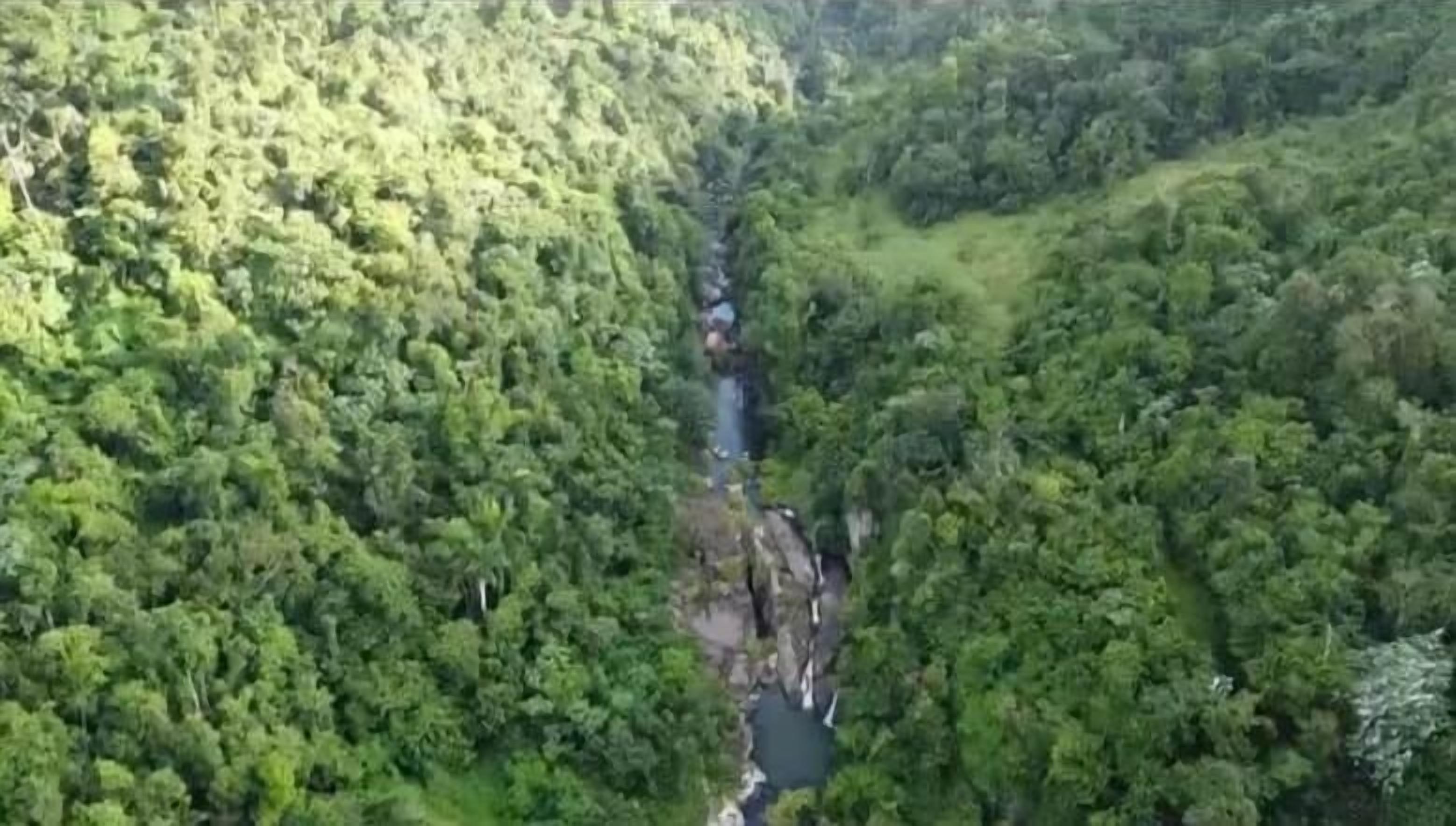 Vista aérea de un valle verde exuberante con un río serpenteando a través de él.