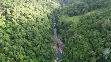 Vista aérea de un valle verde exuberante con un río serpenteando a través de él.