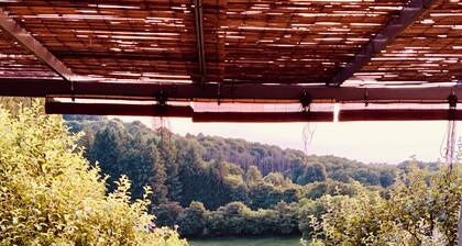 The house on the hill