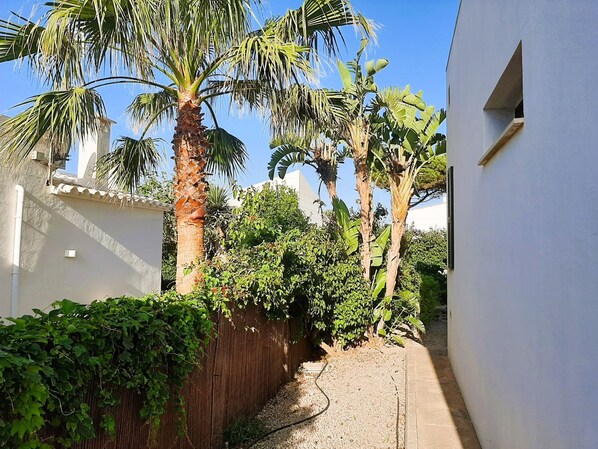 A narrow alleyway with a gravel path, surrounded by lush greenery and palm trees. - Anana Binisafua Villa With a Pool by the sea (Sant Lluis)