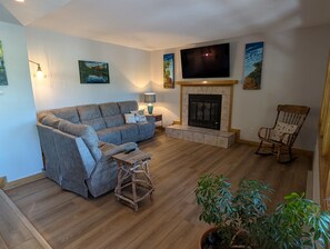 Smart TV, lareira, livros