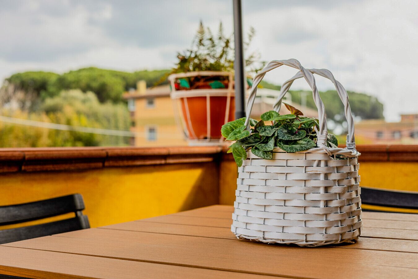 Una cistella blanca teixida amb nanses sobre una taula de fusta, amb una planta en testos al fons.