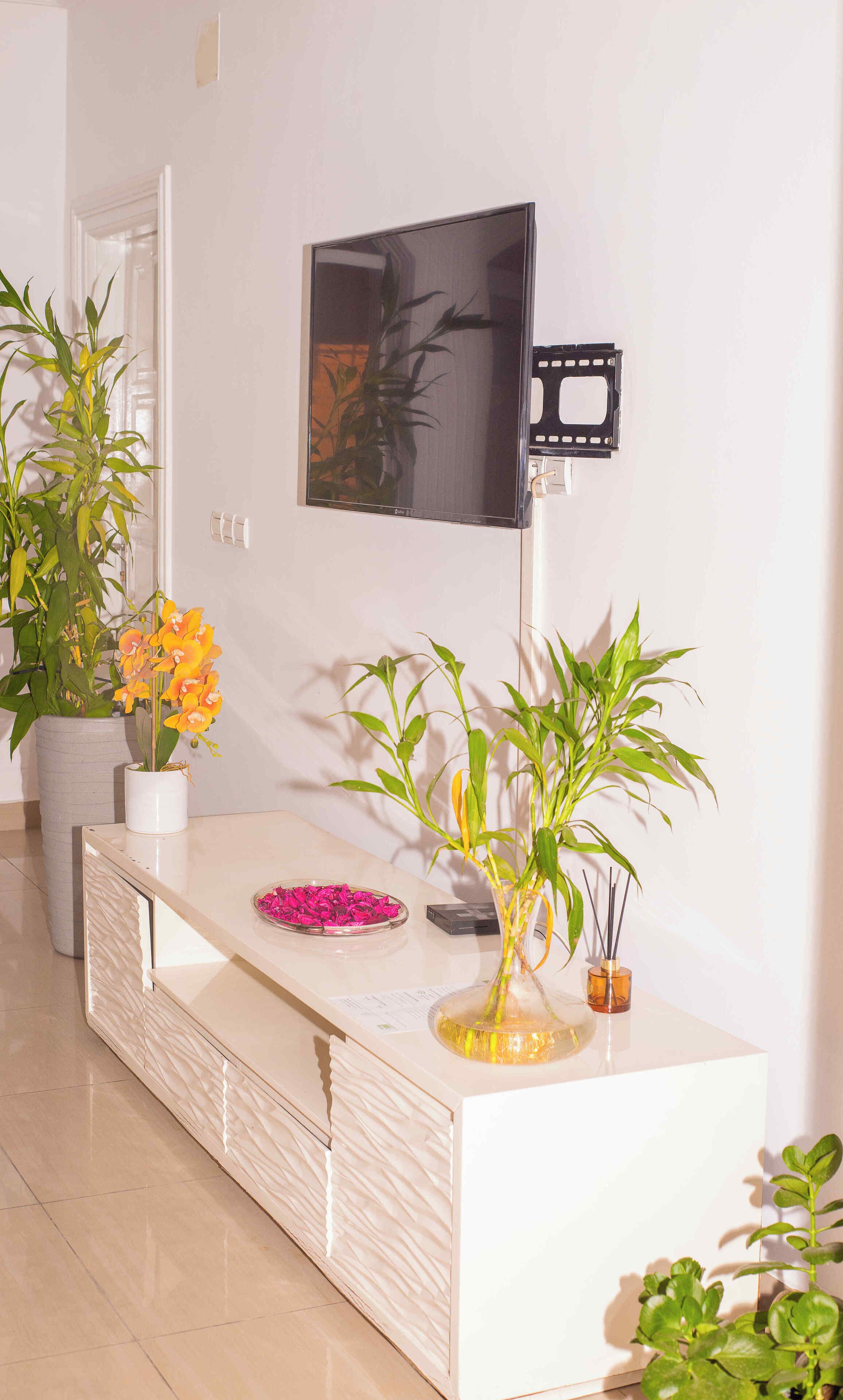 Una sala de estar moderna con un televisor de pantalla plana montado en la pared, una consola blanca con plantas decorativas y piso de baldosas.