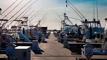 A marina with multiple boats docked, a clear sky, and a flag flying.