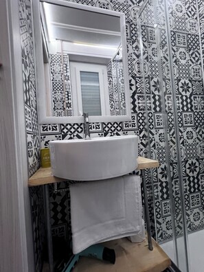 Regadera, amenidades de baño ecológicas, secadora de cabello, bidet 