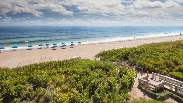 A beach with rows of blue umbrellas, a wooden deck, and a view of the ocean.