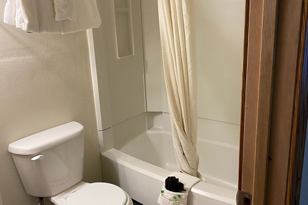 Towels, soap, shampoo, toilet paper