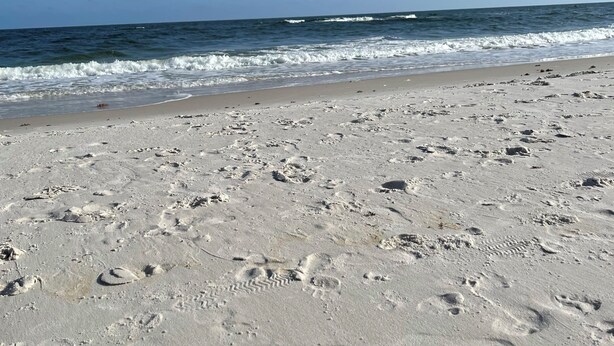 A sandy beach with footprints and the ocean in the background. - Gulf Shores West Beach Condo/3-Min Walk to Beach/Gulf Views/King Bed (Gulf Shores)