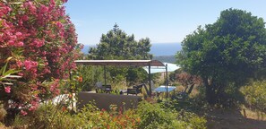 Outdoor dining - A Caserella - Bed and Breakfast "Canari " in village house with garden at 300 m altitude (Valle-di-Campoloro)