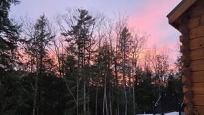 A wooden cabin with a snow-covered ground and a forest in the background. - Rivertop Retreat, with hot tub!- Luxurious tiny home in the White Mountains! (Bath)