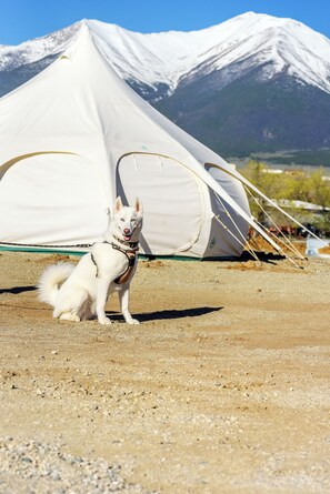 Exterior - Colorado Basecamps (Buena Vista)