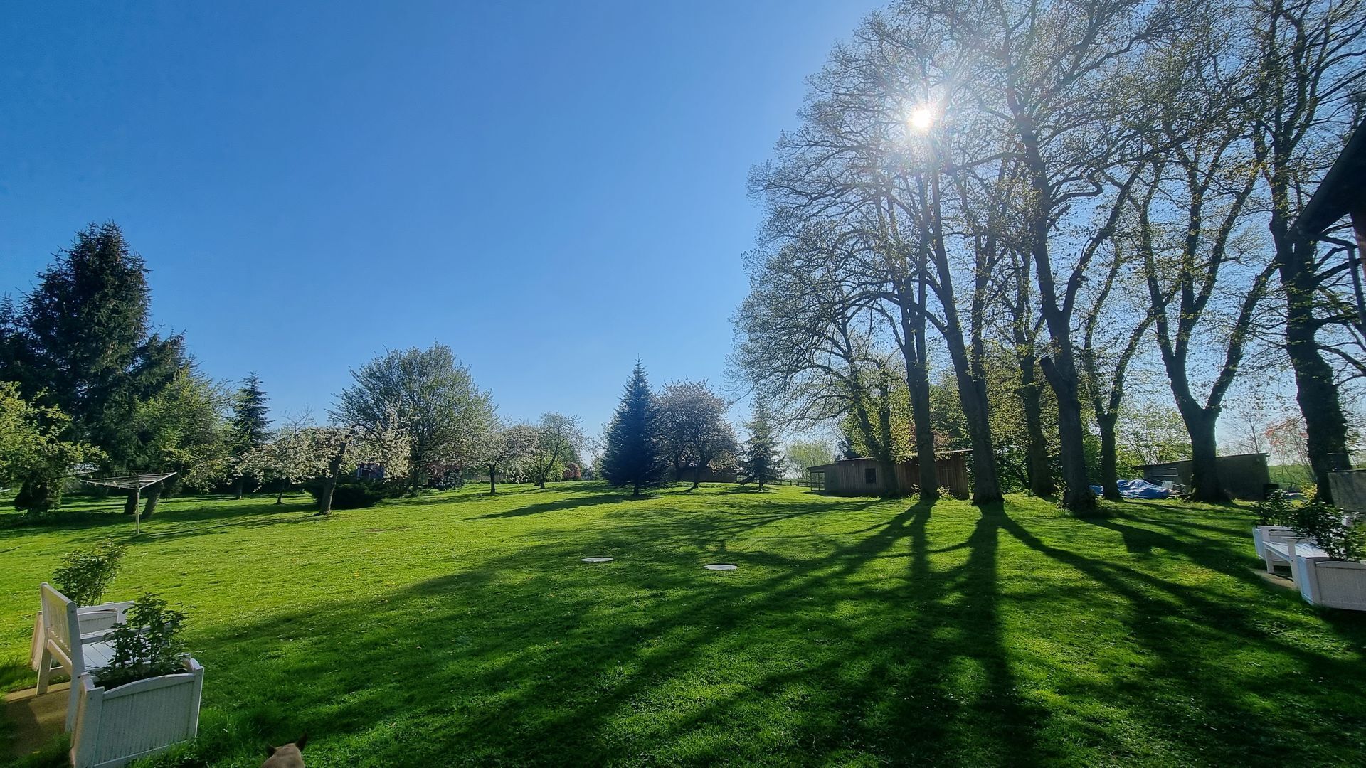 Une pelouse verdoyante et bien entretenue, parsemée d’arbres, sous un ciel bleu azur.