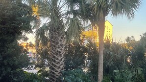 Un jardin avec des palmiers et diverses plantes, un bâtiment en arrière-plan et un ciel dégagé.