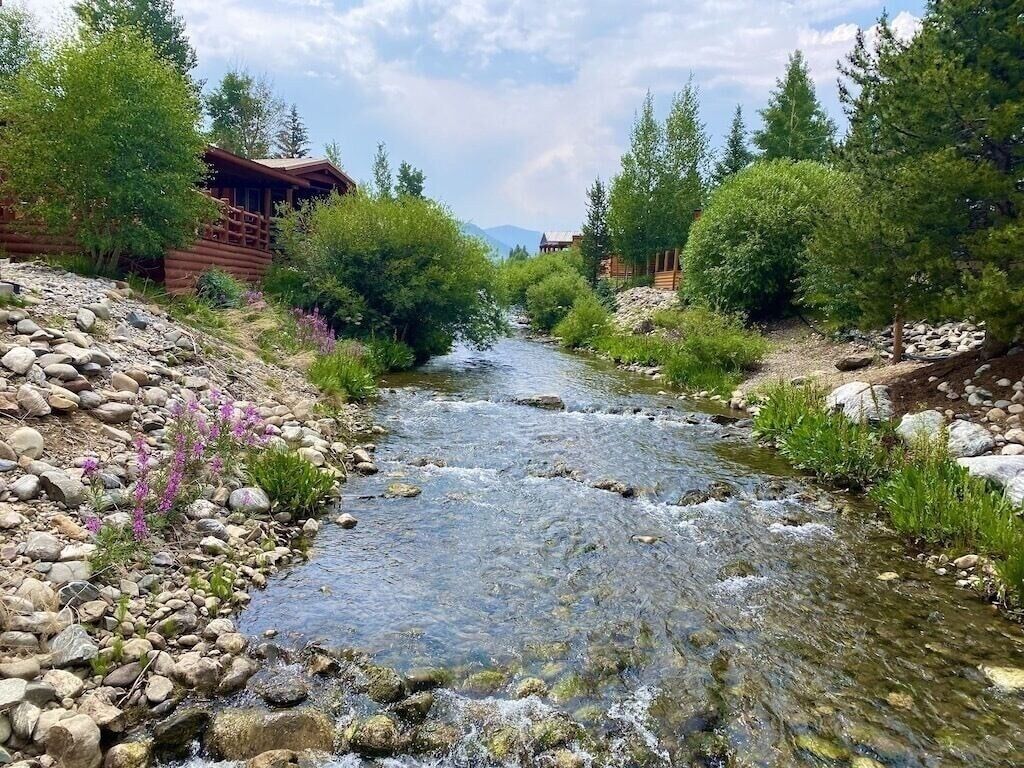 A river flowing through a forested area with wooden cabins.