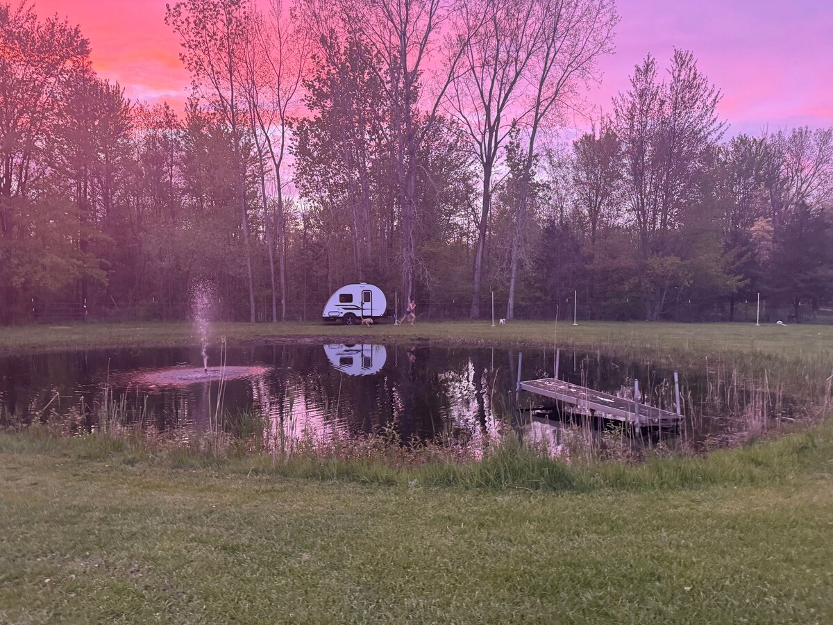 Imagen de perfil del propietario o de la propietaria