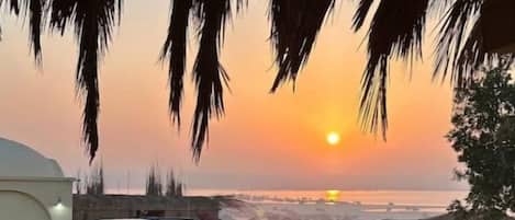 تناول الطعام بالخارج