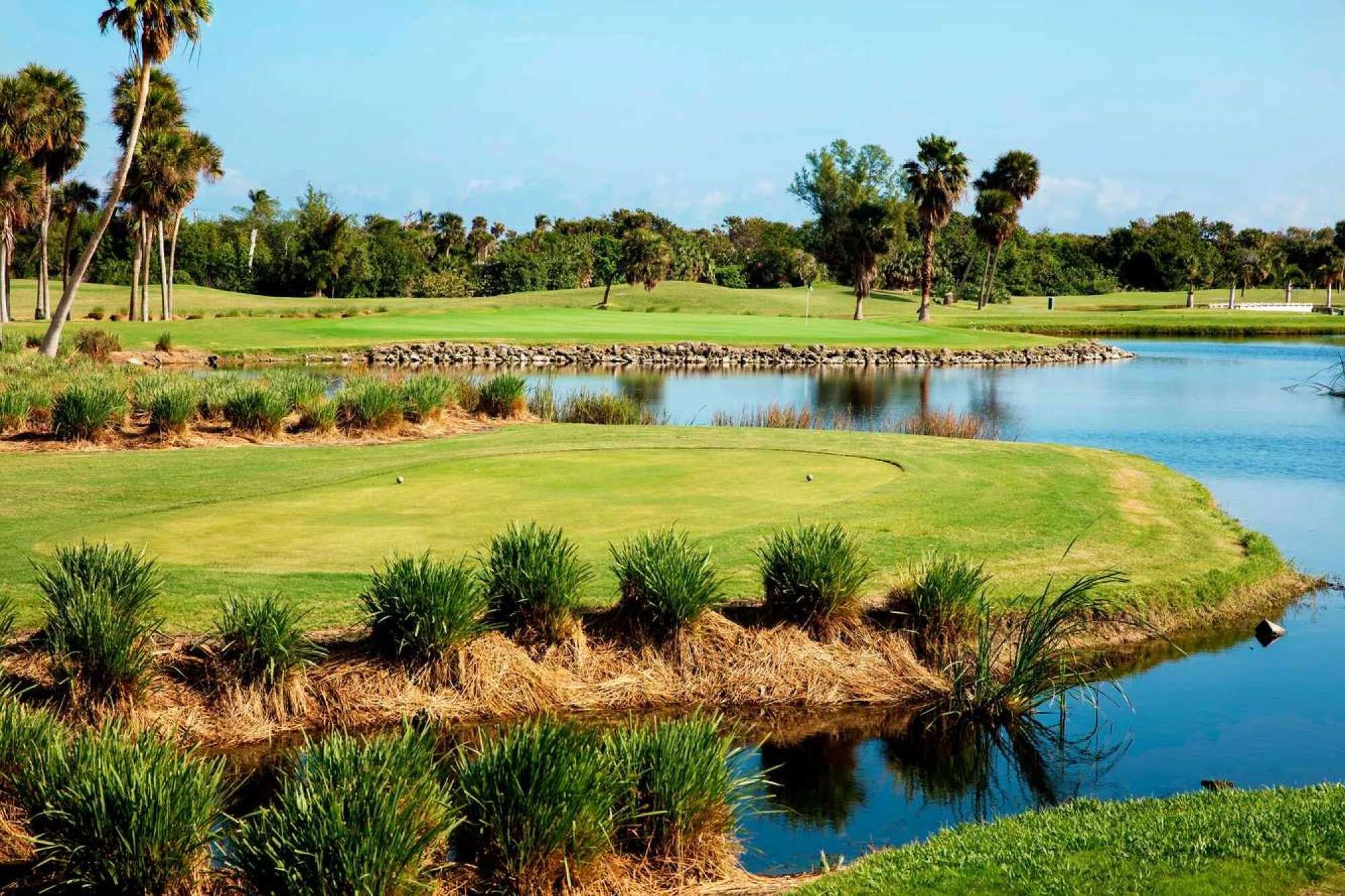 A golf course with a pond, surrounded by palm trees and greenery.