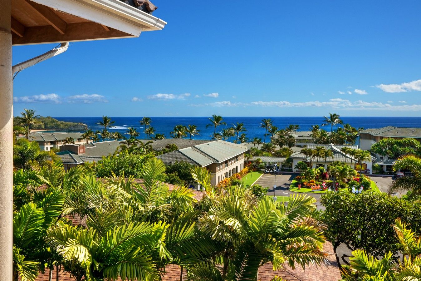 Resort costeiro com vários edifícios, palmeiras e vista para o oceano.