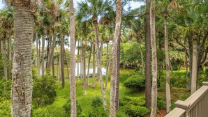 A lush, tropical landscape with tall palm trees and a water body.
