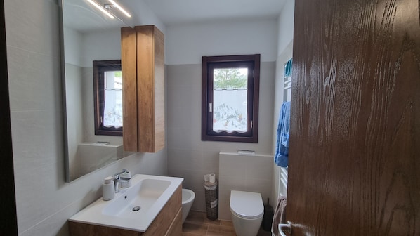 Shower, hair dryer, towels