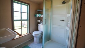 A bathroom with a toilet, a shower, a sink, and a window.