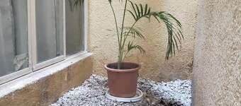 3 BR house, 1AC y garage in Parque de la Marimba