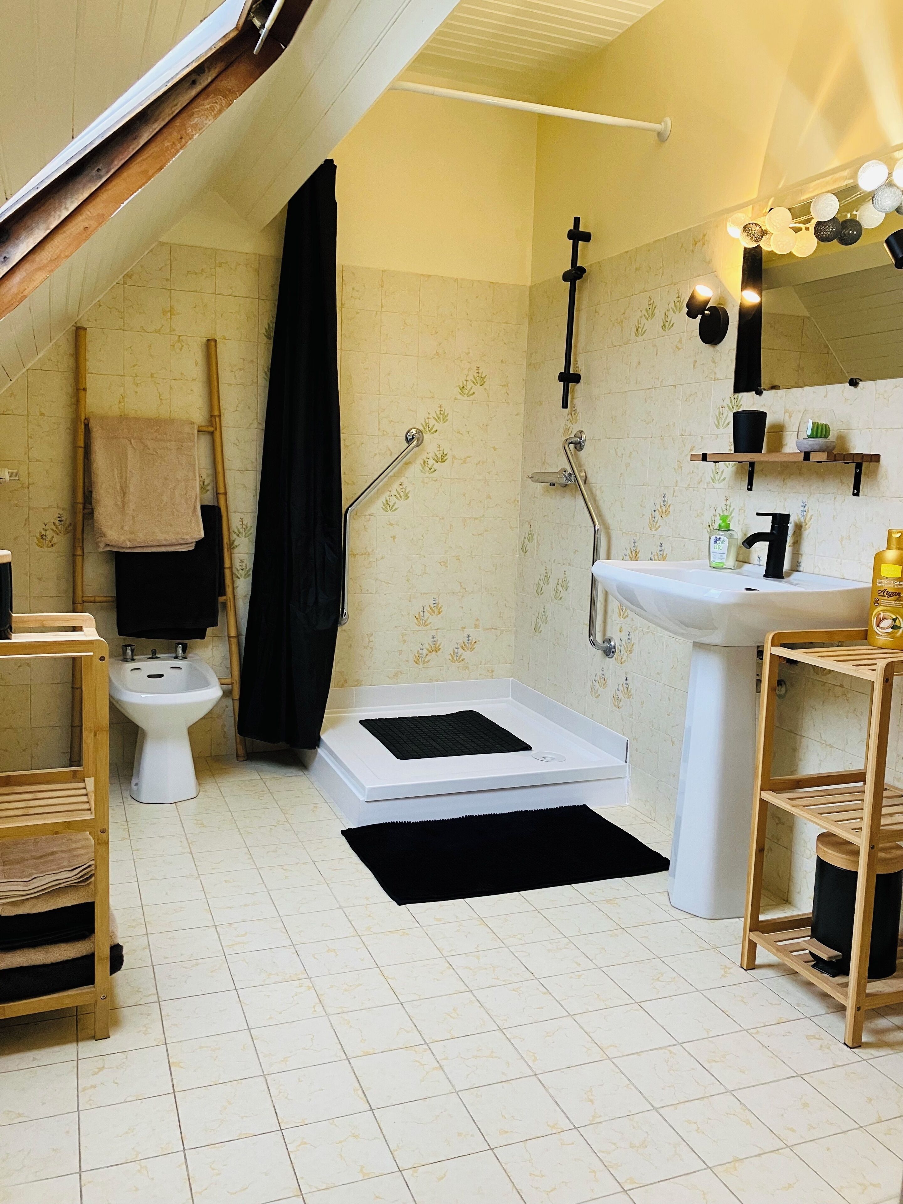 Bidet, towels, toilet paper