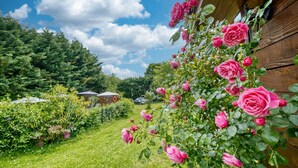 A garden with pink roses, a wooden structure, and a path leading to a house.