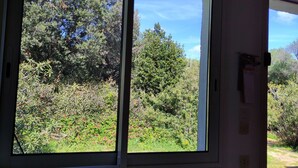 Une pièce dotée d’une grande fenêtre donnant sur un paysage verdoyant et luxuriant, parsemé d’arbres et d’arbustes.