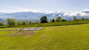 A grassy field with a map layout, trees, and mountains in the background.