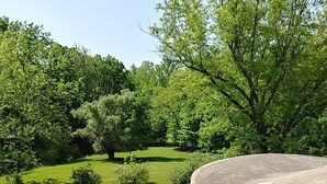 A concrete skatepark with smooth curves and a grassy area with trees.