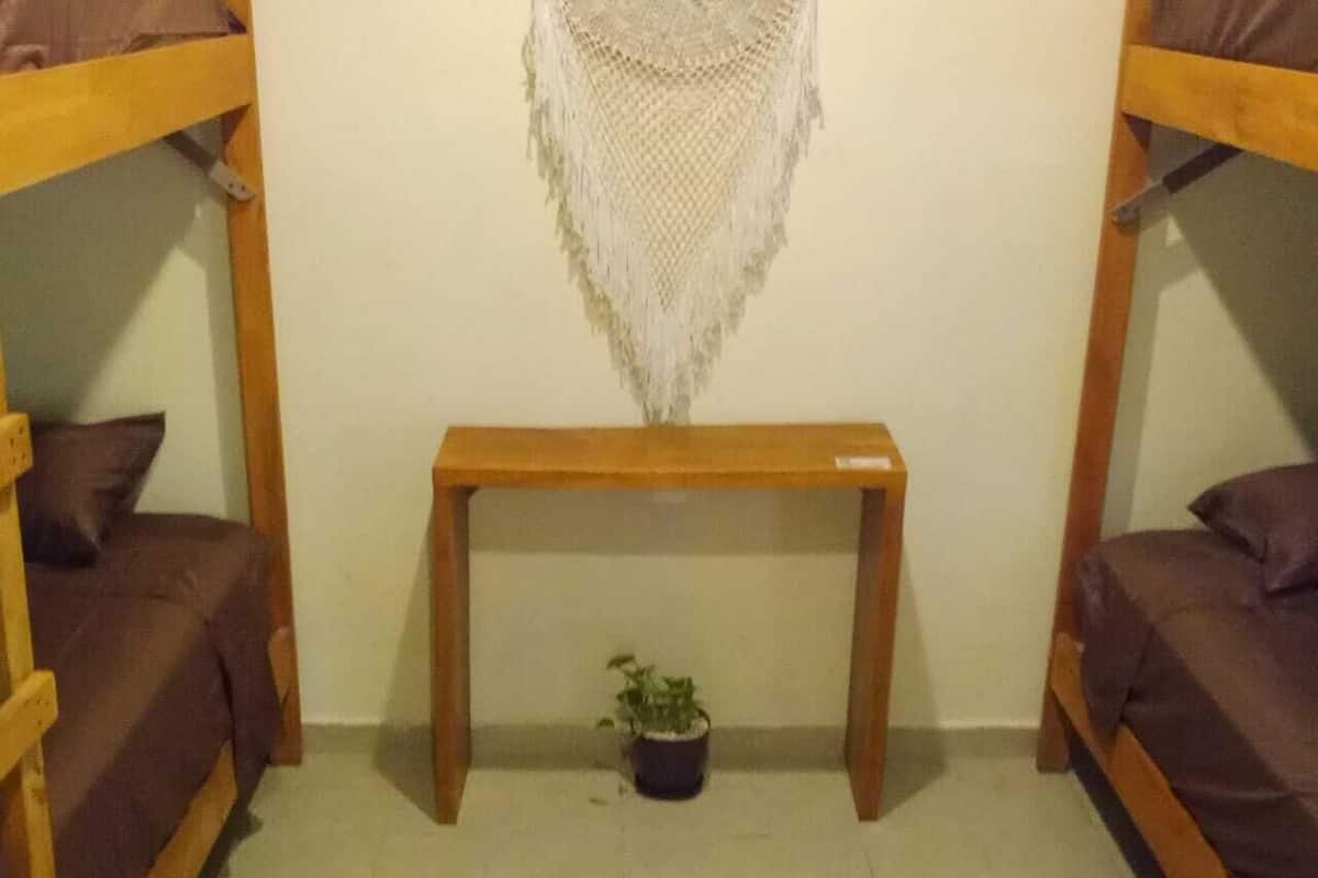A room with two bunk beds, a small wooden table, and a potted plant.
