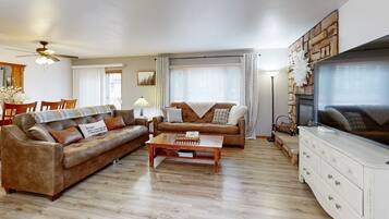 Télévision, cheminée, lecteur de DVD