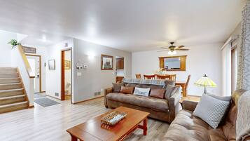 Télévision, cheminée, lecteur de DVD