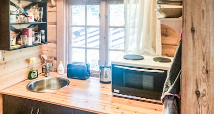 4 bedroom stunning home in Tynset