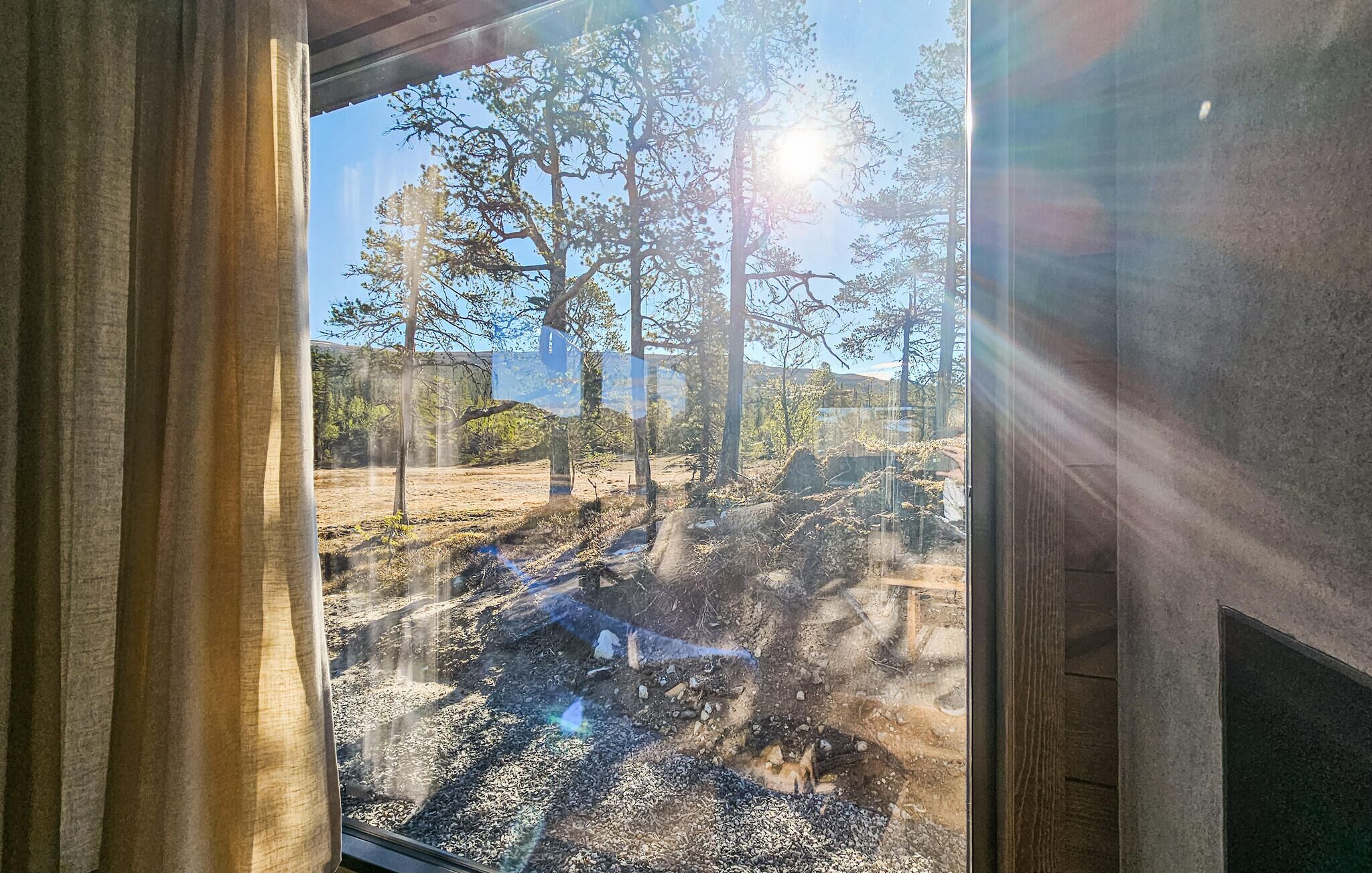 Blick aus dem Fenster auf ein bewaldetes Gebiet, durch das Sonnenlicht scheint.