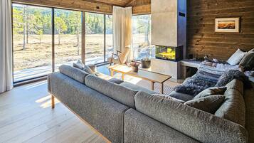 智能電視、壁爐