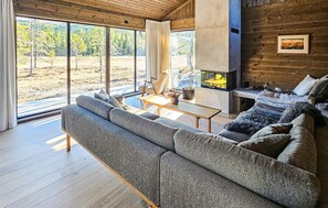 TV connectée, cheminée