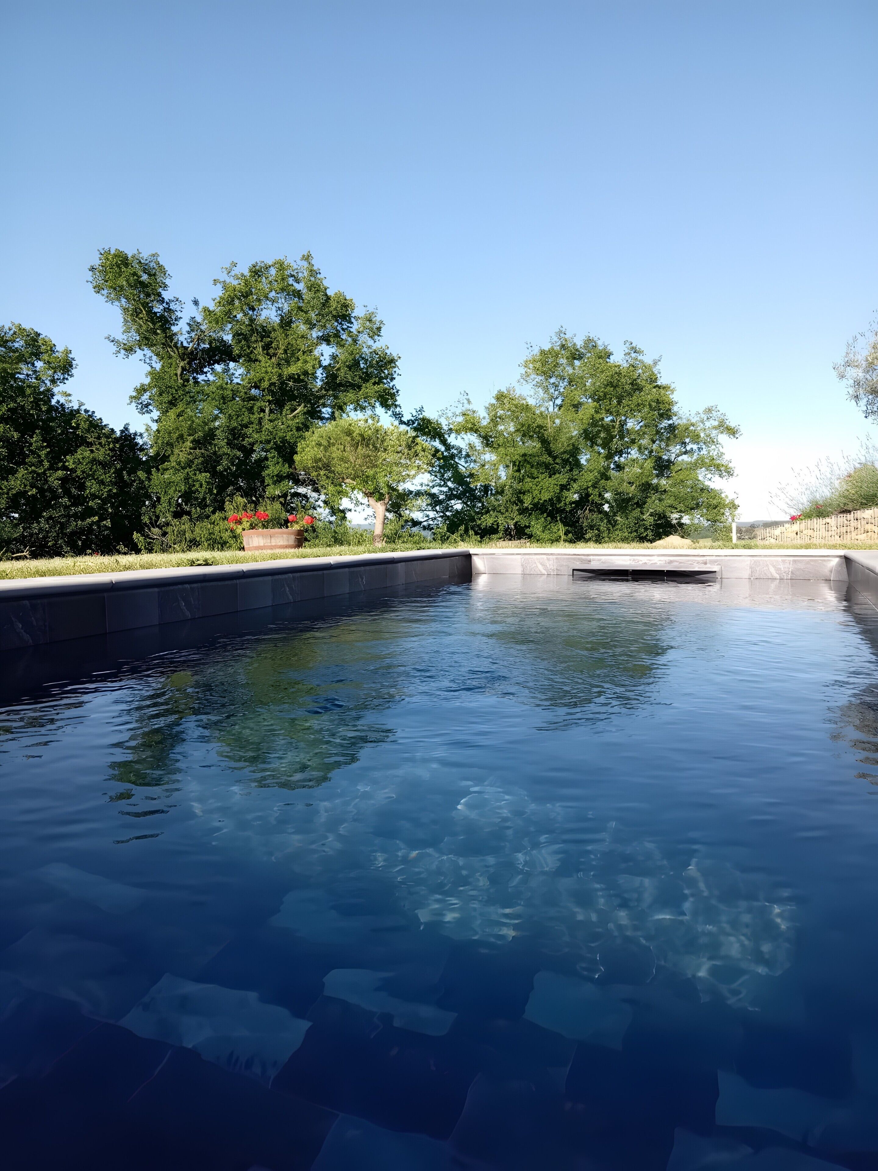 En swimmingpool med klart vand, omgivet af træer og en stenvæg.