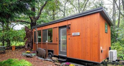 Brand new serene luxury cottage just off the Brew Ridge Trail
