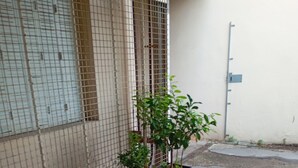 Une table ronde sur laquelle repose une bobine de fil, entourée de plantes en pot, le tout placé devant un mur surmonté d’une clôture métallique.