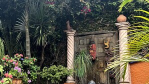 Un jardín con una puerta de madera, plantas en macetas y una estatua.
