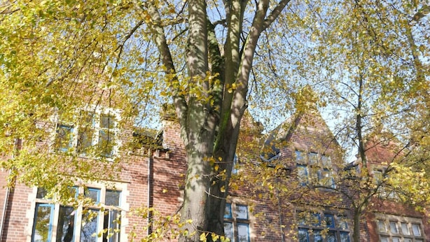 Aussenbereich