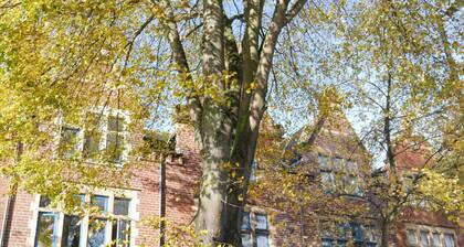 Modern 1 bed apartment on edge of city centre 4