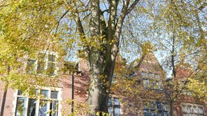 Exterieur