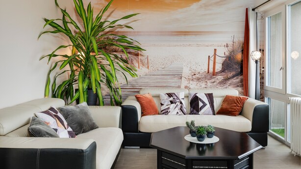Un salon moderne avec un canapé, une table basse et une grande plante.