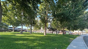 A park with green grass, trees, a sidewalk, and buildings in the background.