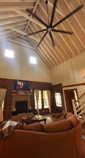 Televisor intel·ligent, llar de foc, llibres i estèreo 