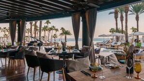 Un restaurant situé en bord de mer, avec une terrasse, des palmiers et une vue sur l’océan.
