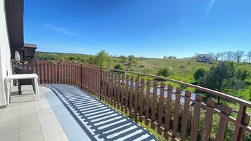 Family Room, Terrace | Terrace/patio